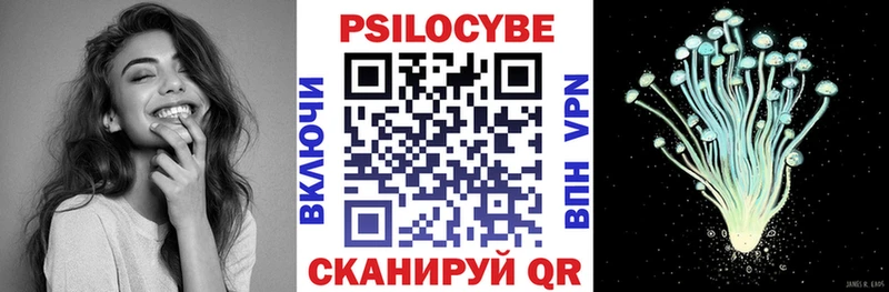 цена наркотик  Завитинск  omg рабочий сайт  Галлюциногенные грибы Psilocybe 